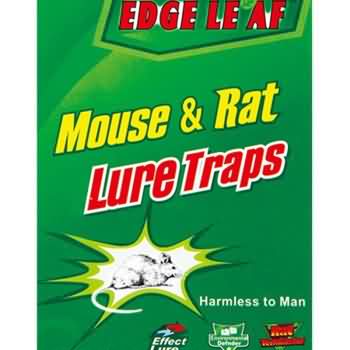 65g Edge Leaf JH17 Verde Tamanho Pequeno Placa Armadilha de Cola para Mouse