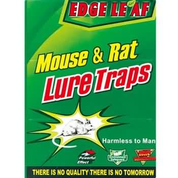Cheap 8001 Transparent Mouse Glue Board Trap In Large Size