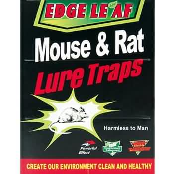 Cheap 8002 Large Size Mouse Glue Trap Paper Board Notebook