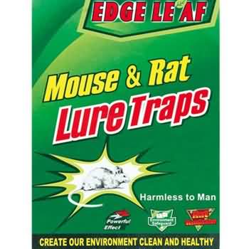 Edge Leaf 8003 Large Size Cheap Paper Board Mouse Glue Trap