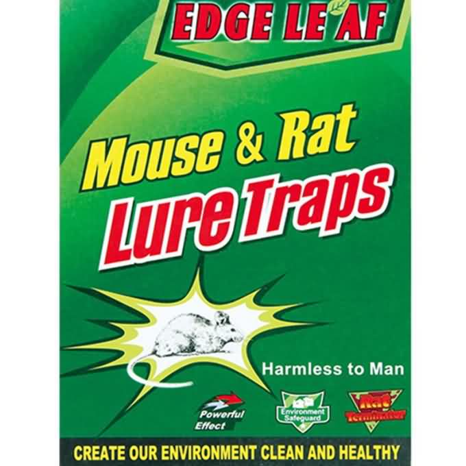 Edge Leaf 8003 Trampa de pegamento de ratón de tablero de papel barato de gran tamaño