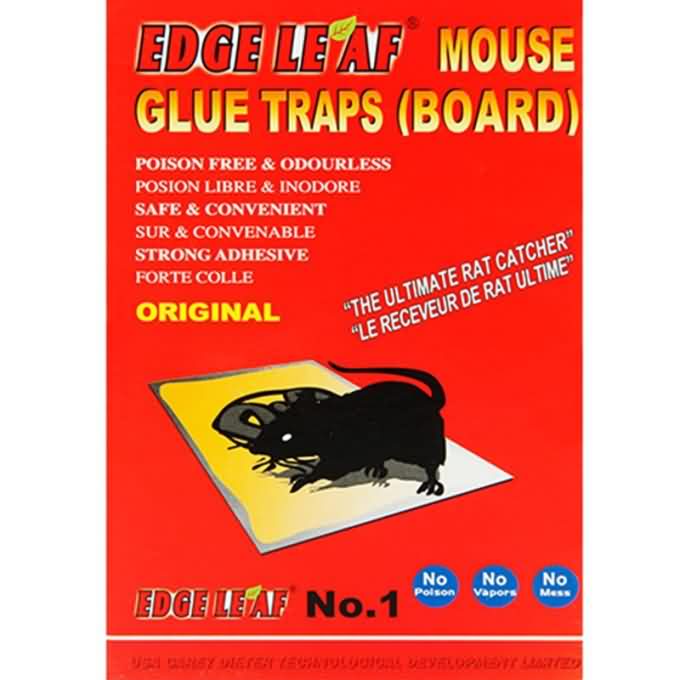 Genunine Edge Leaf JH-29 Small Size Mouse Glue Traps