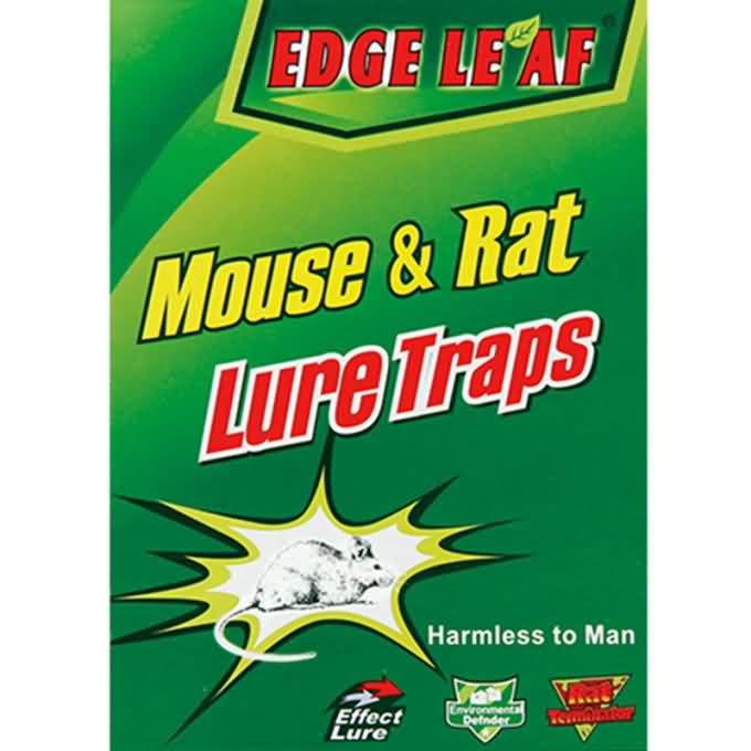 Super Rodent Sticky Boards Medium Size Mouse Glue Trap JH 15