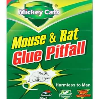 Armadilha de cola para mouse 80AA superior adesiva transparente Mickey Cats 80AA