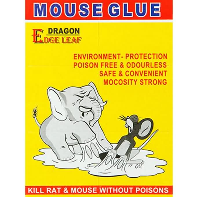 Yellow Card Transparent Mouse Glue Board Trap 6018 L Size