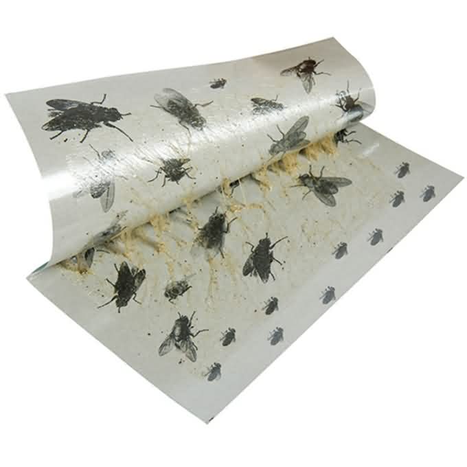 Yiwu Jingong DLE-3004 Edge Leaf Fly Glue Board Green Paper Glue Traps