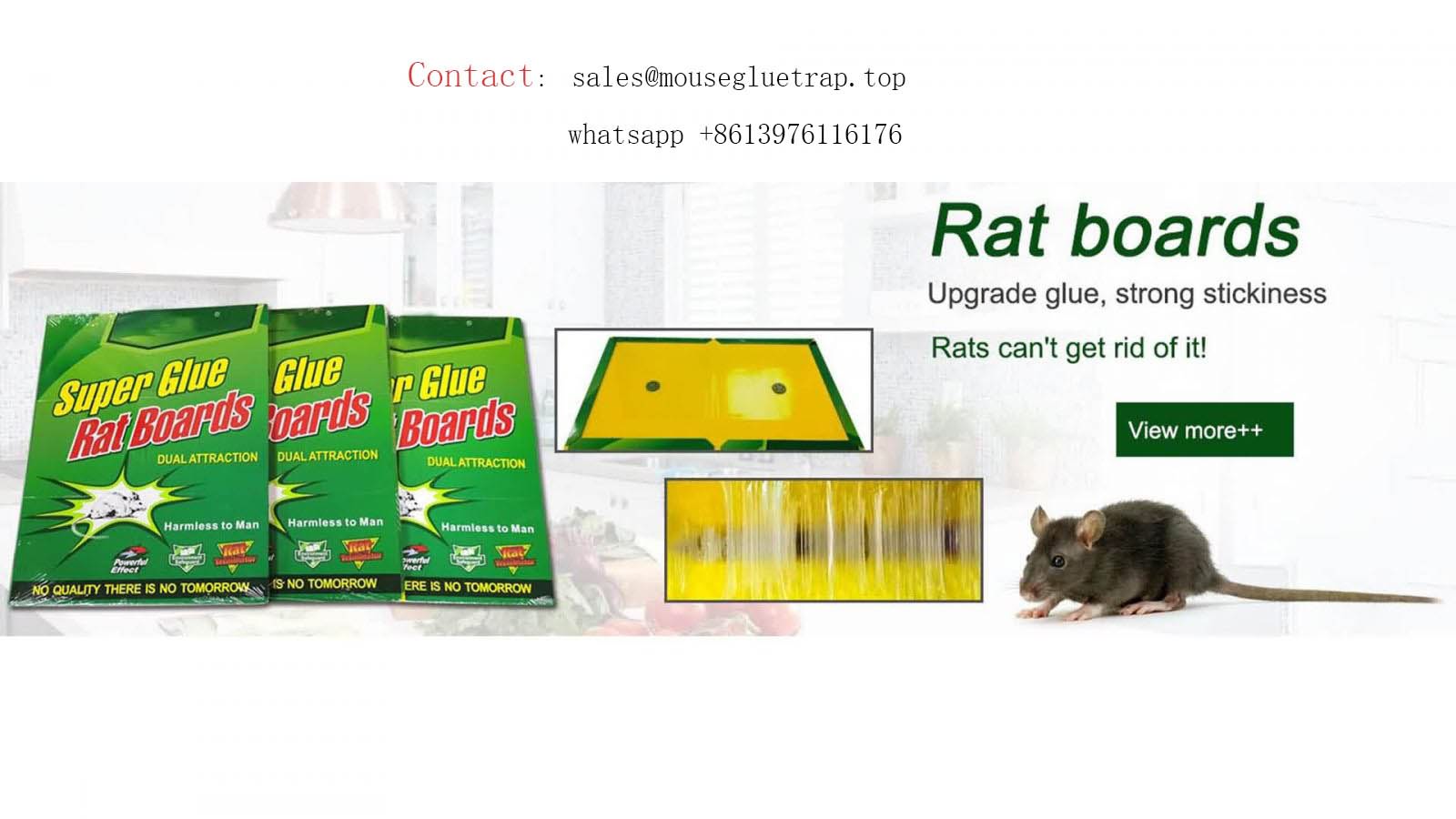 China Factory Mouse Glue Trap Paper Board Venta al por mayor Fly Rat Adhesivo Sticky Pest Control Proveedor